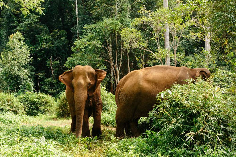 Mondulkiri