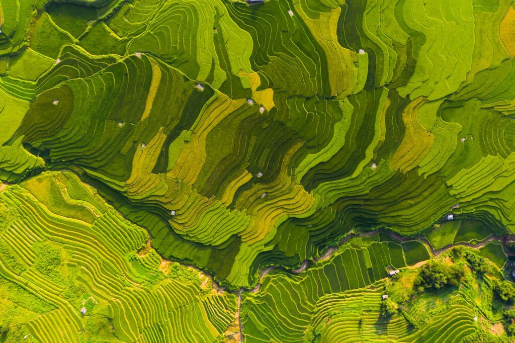 mu cang chai, vietnam