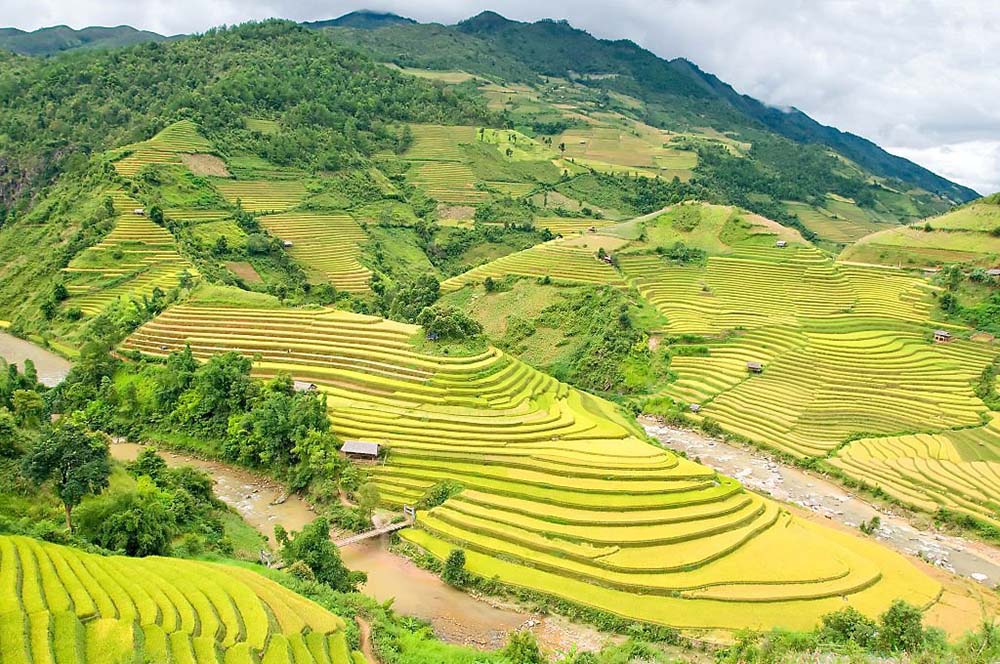 mu cang chai