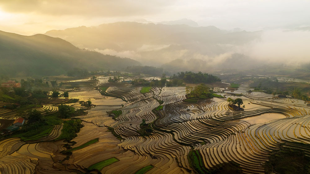 Mu Cang Chai stagione di semina