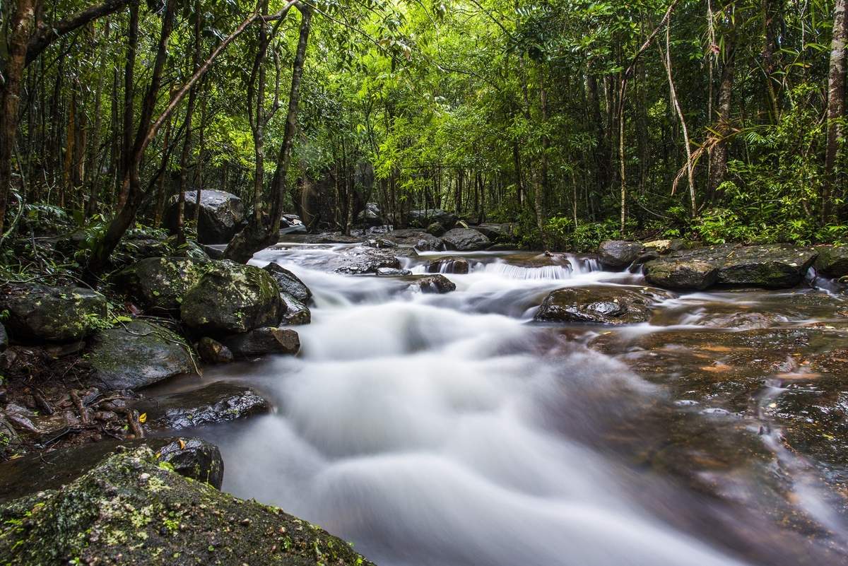 Parco nazionale di phu quoc