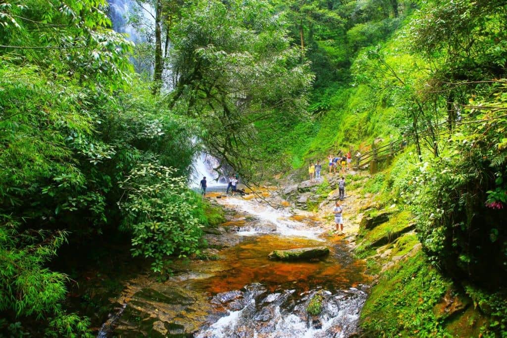 Phu Quoc parco nazionale