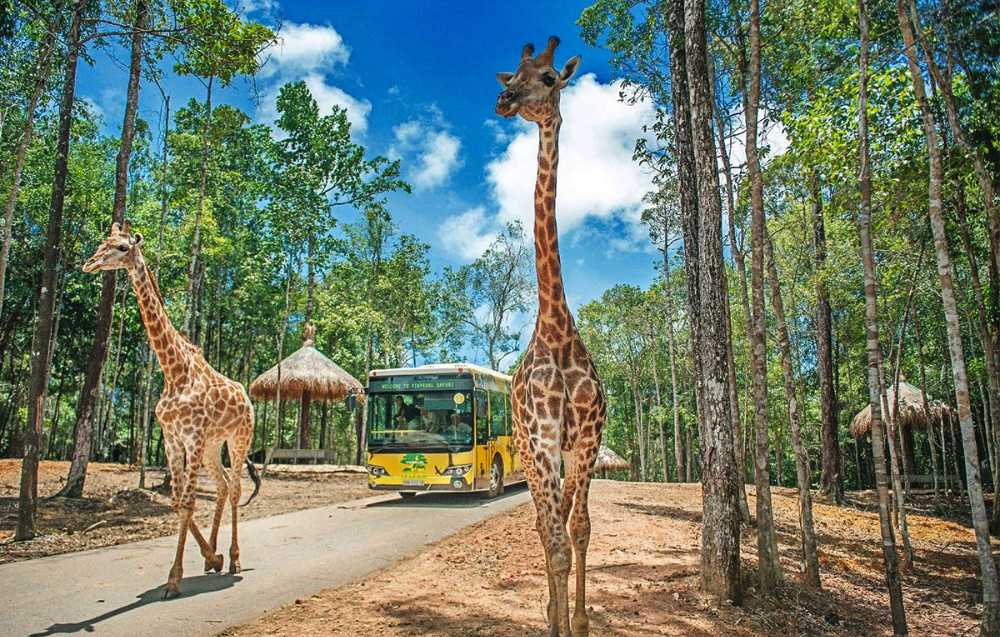 Phu Quoc vinpearl safari