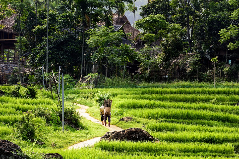 Trekking tra Mai Chau e Pu Luong