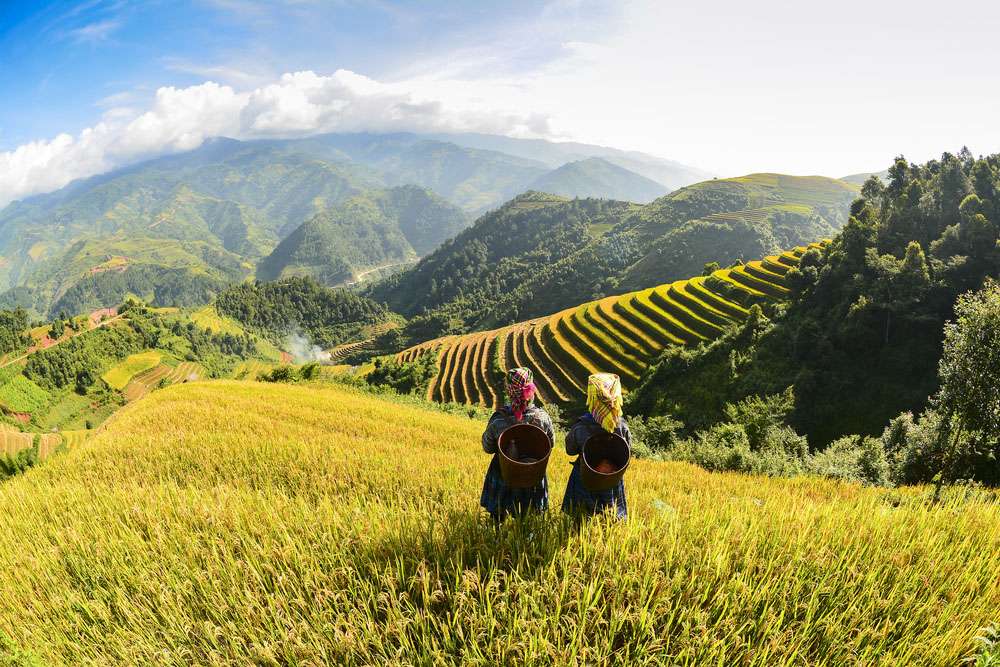Sapa Vietnam