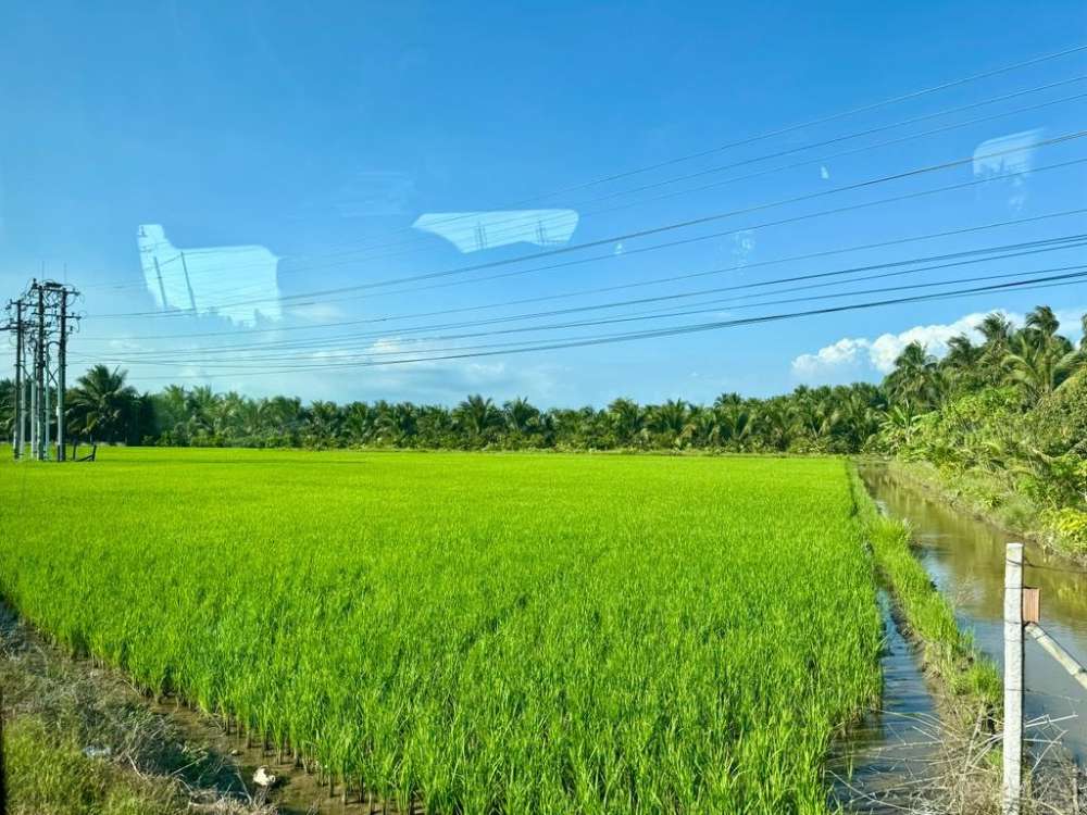 Viaggio indimenticabile in Vietnam