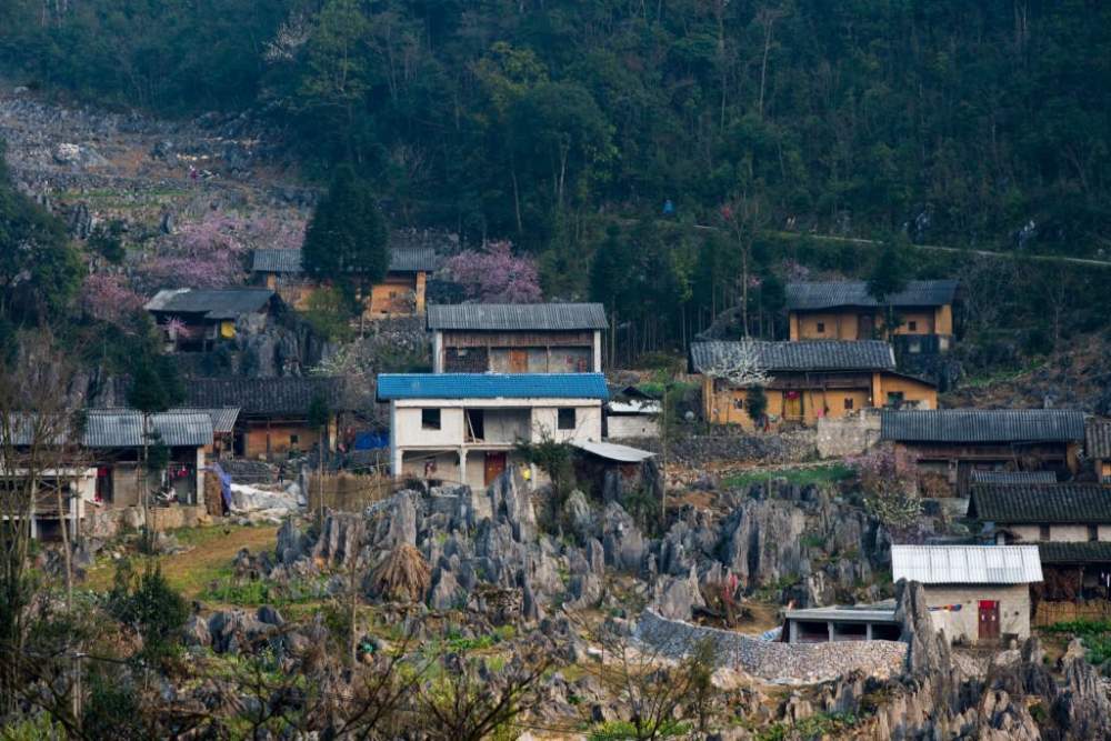 Le case all'altopiano carsico di dong Van ad Ha Giang
