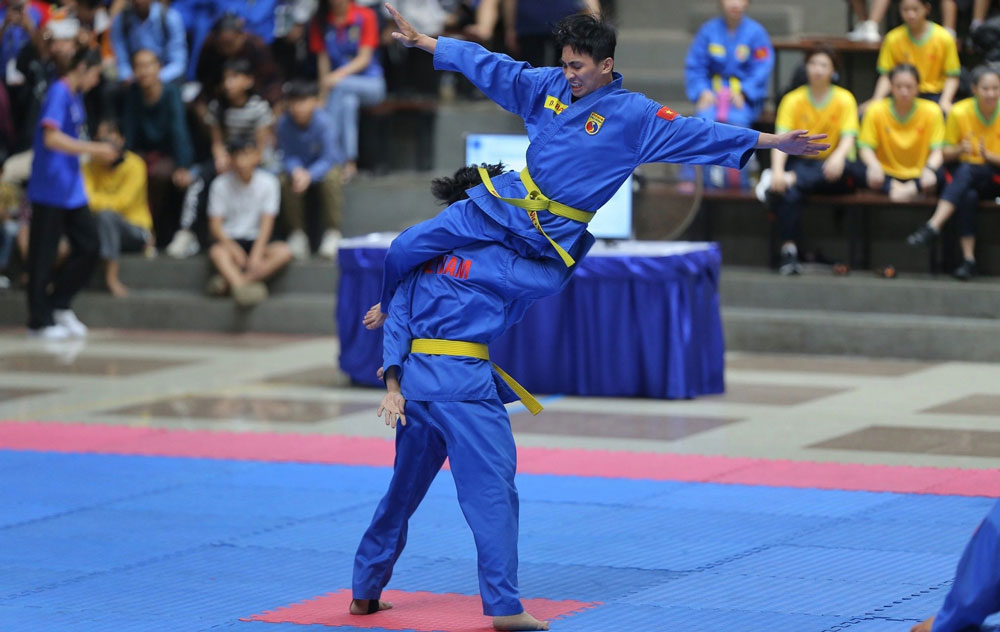 arte marziale vietnamita vovinam