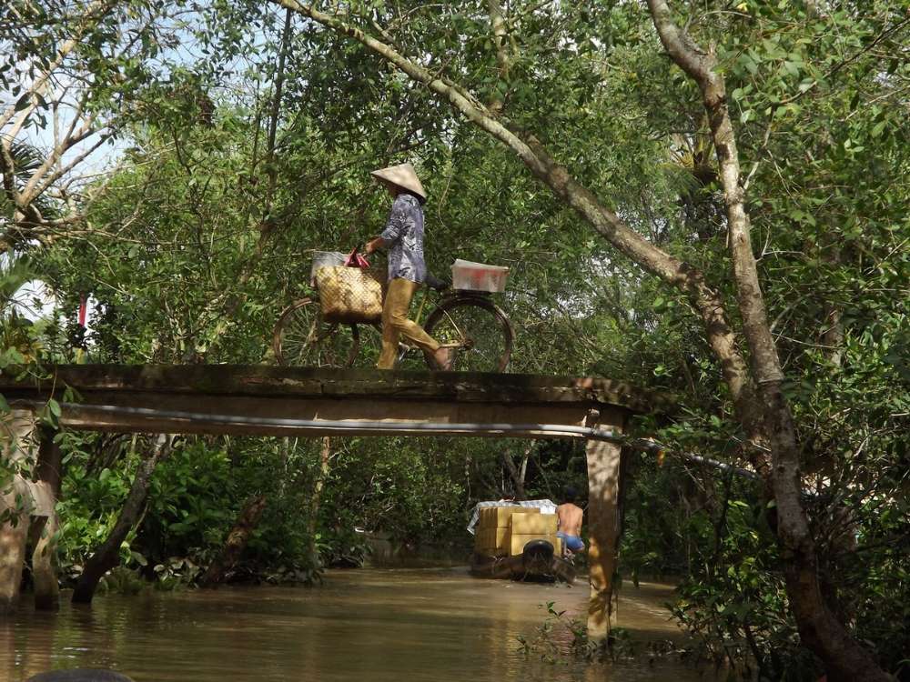 bellissimo delta mekong vietnam