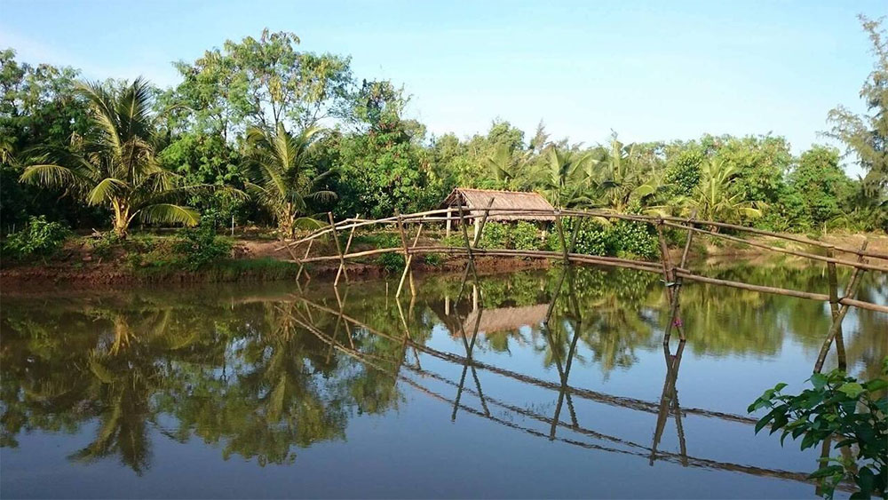 ben tre vam ho