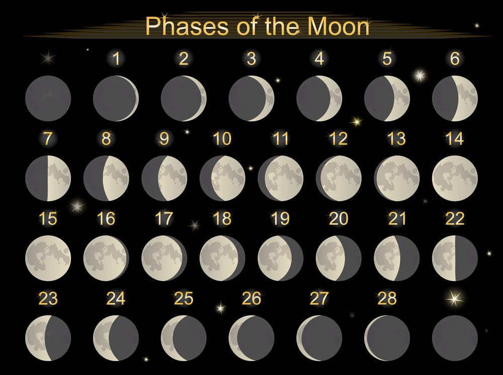 calendario lunare vietnam