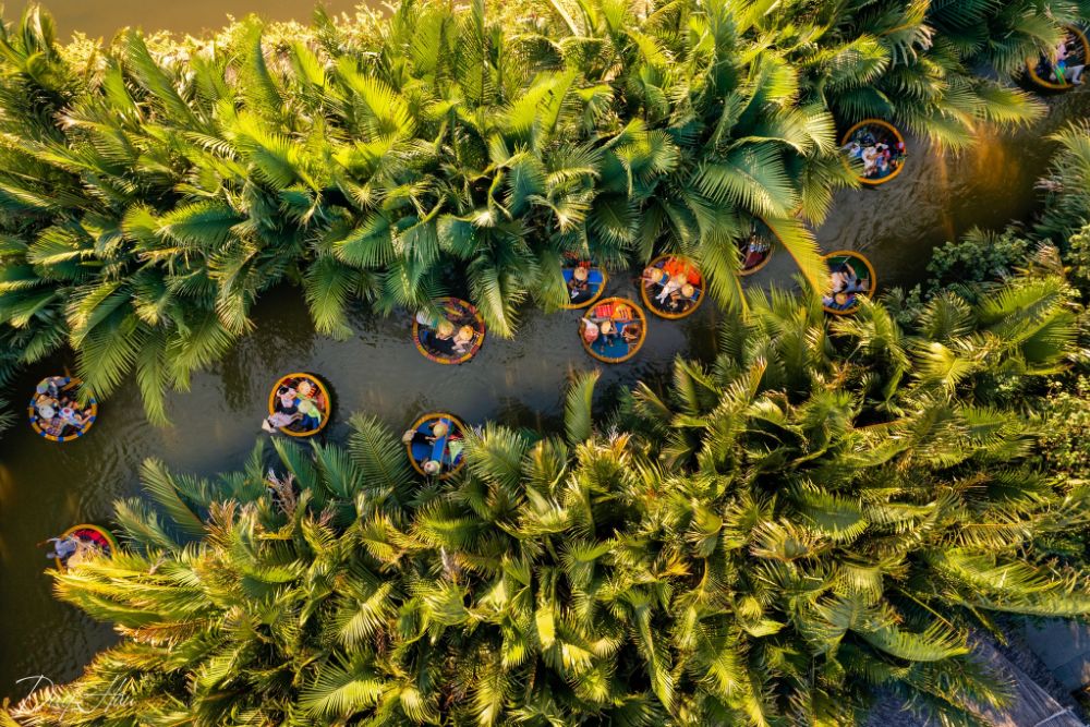 Il Villaggio di Cam Thanh e la Foresta di Mangrovie