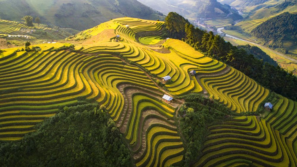 mu cang chai, vietnam, comune tu le