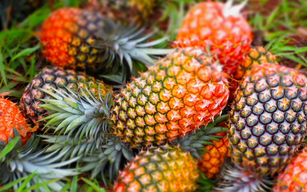 Ananas