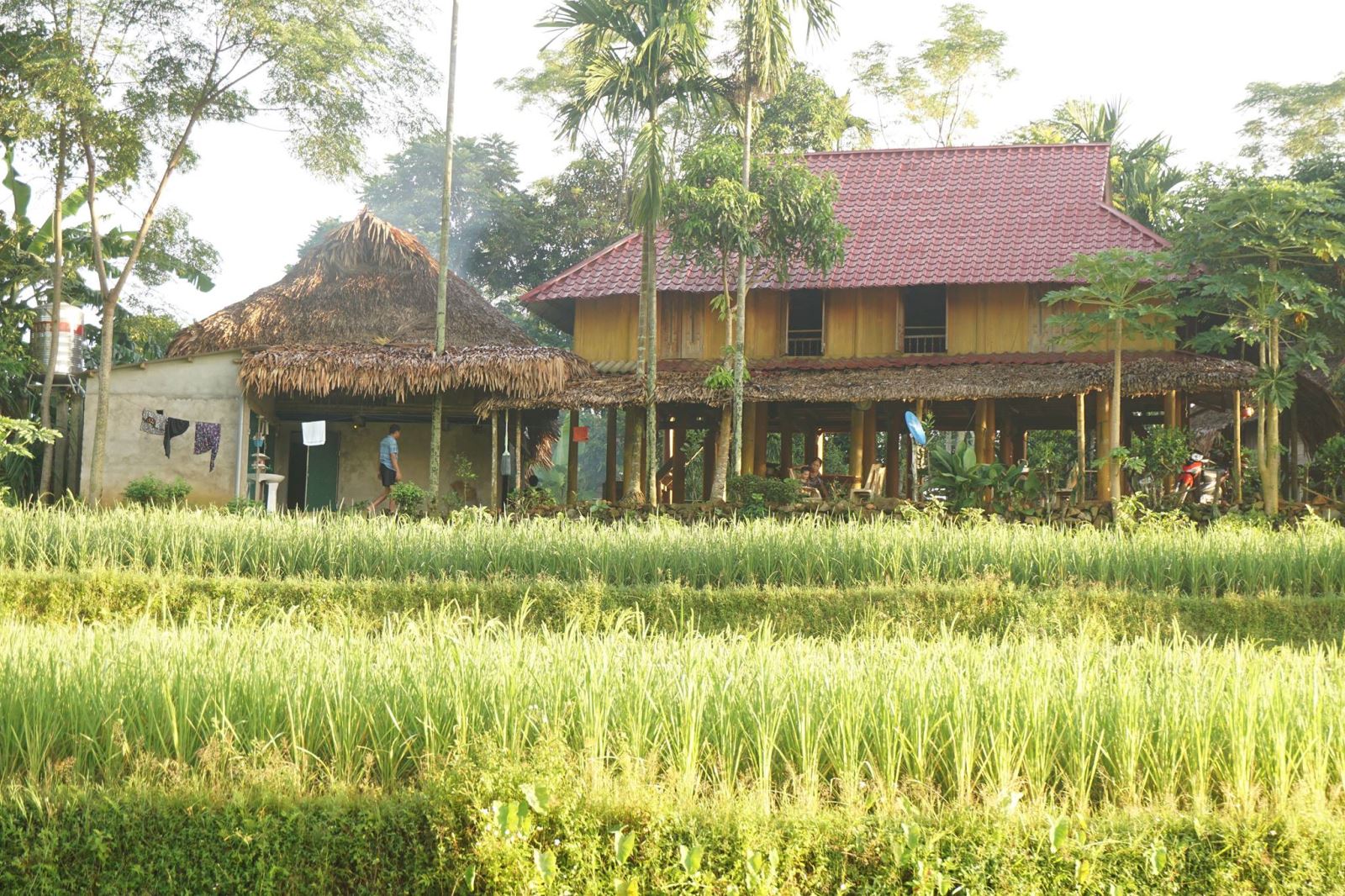 hoanh homestay pu luong