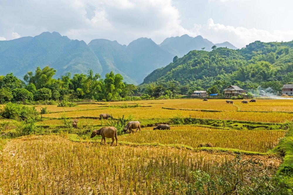 luogo da visitare in Vietnam Mai Chau
