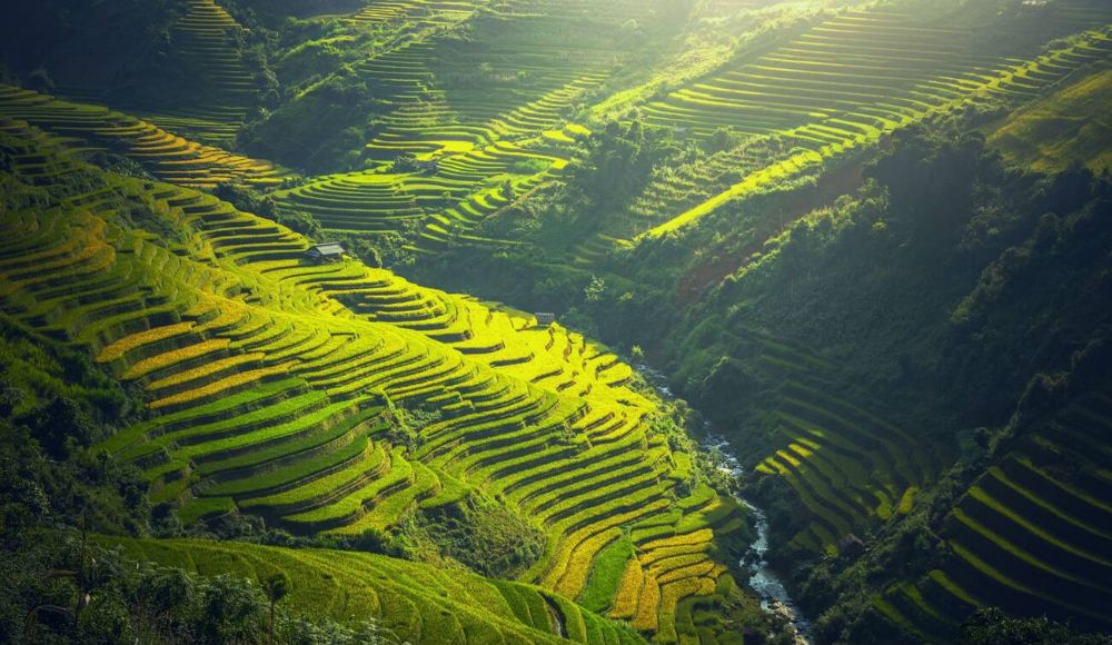 luogo da visitare in Vietnam Mu Cang Chai