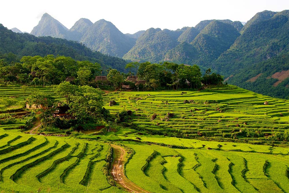 luogo da visitare in Vietnam Pu Luong