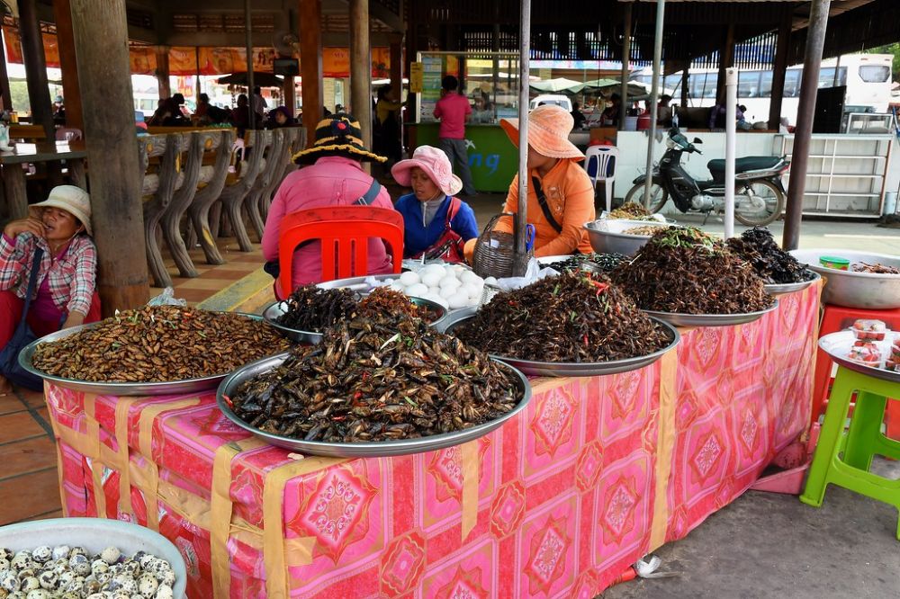 mercato skuon
