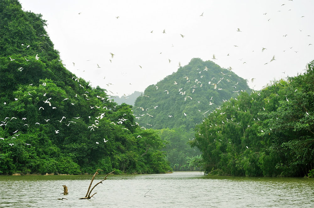 ninh binh thung nham