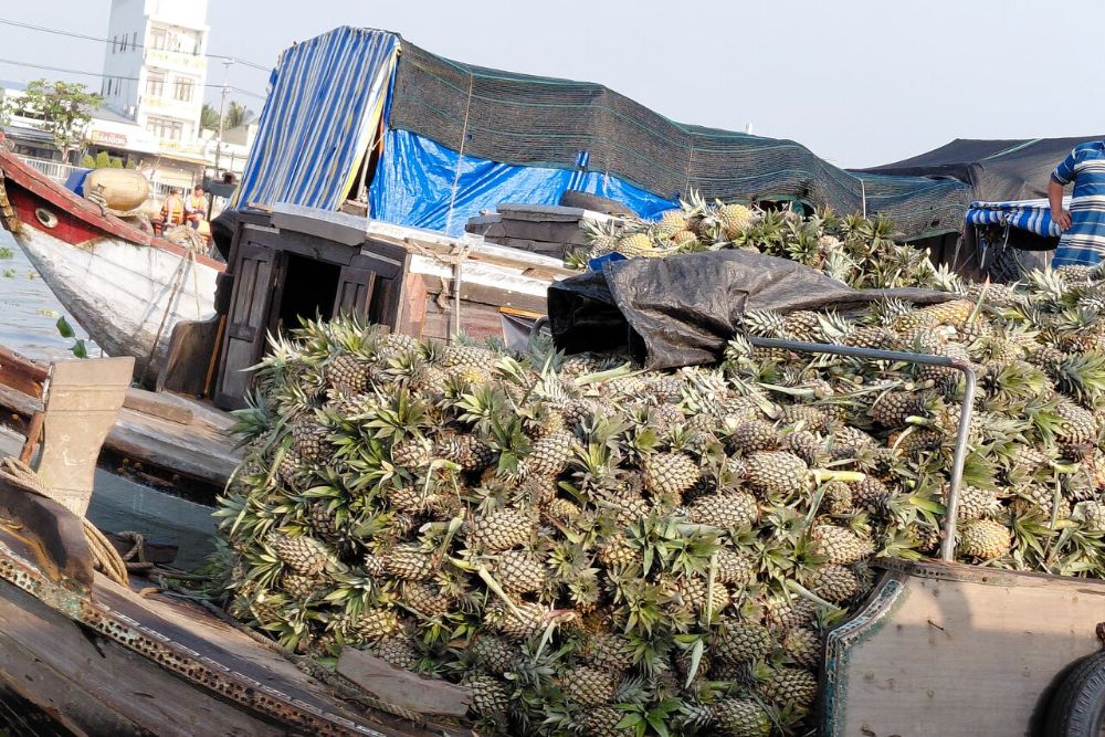 Barche che trasportano ananas al mercato galleggiante di Cai Rang.