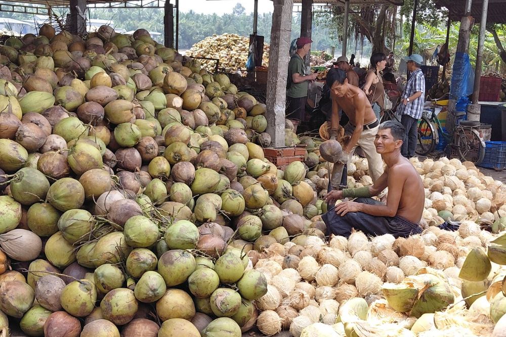 Operai in una fabbrica di lavorazione del cocco a Ben Tre.