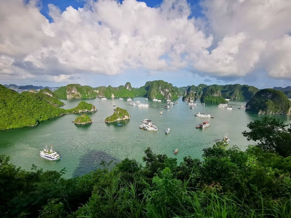 Ottima esperienza in Vietnam