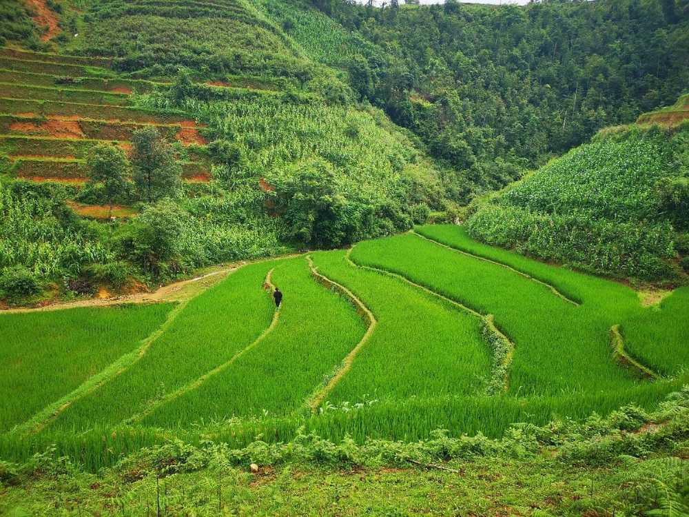 Ottima esperienza in Vietnam