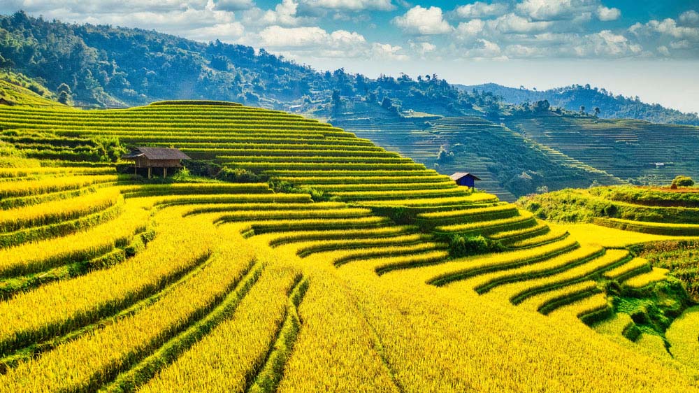 periodo migliore per visitare terrazze vietnam
