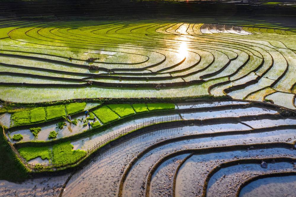 La bellezza maestosa delle terazze a Sapa Veitnam
