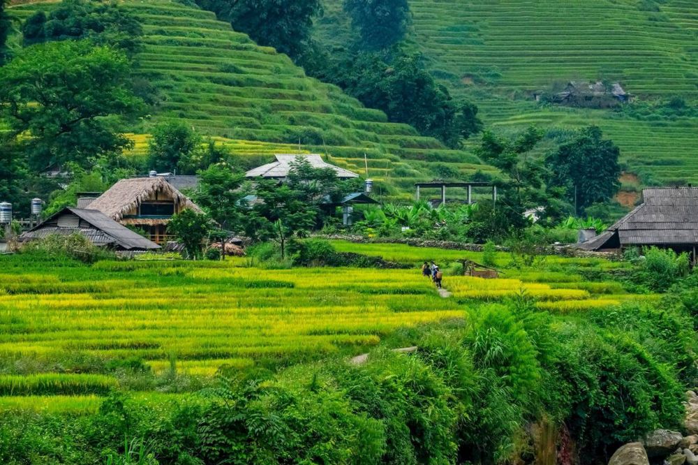 sapa vietnam nord