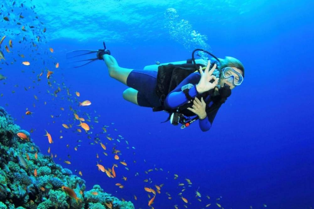 Snorkeling a Cu lao Cham, Vietnam