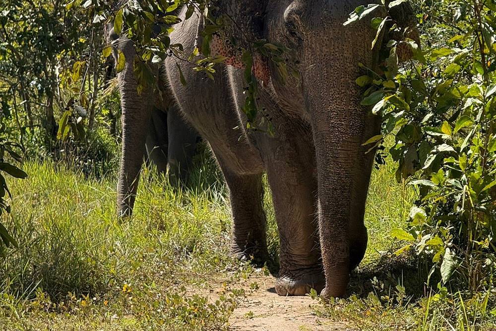 La Thailandia è pericolosa? è più sicura di quanto pensi