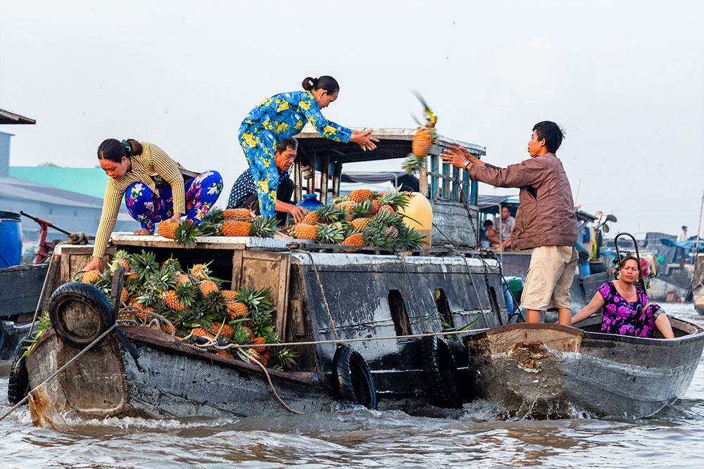 Tour del Delta del Mekong di 2 giorni