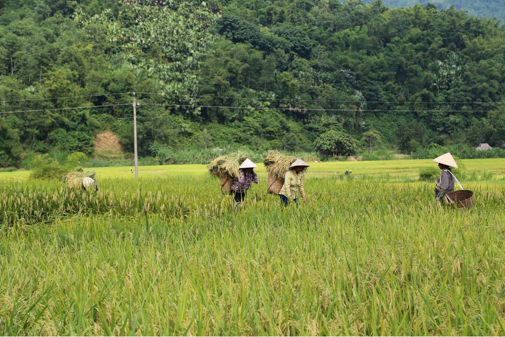 Trekking tra Mai Chau e Pu Luong