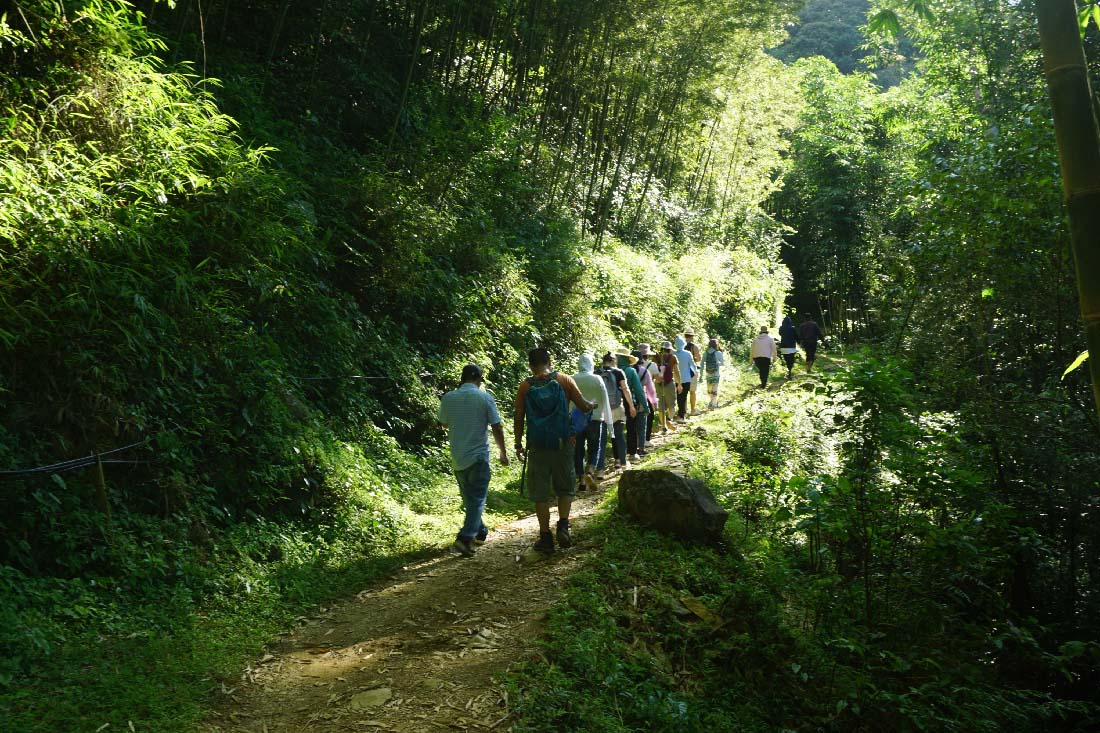 trekking pu bin