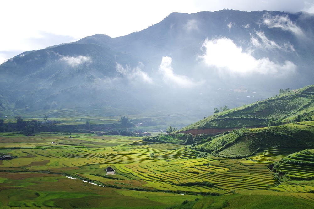 mu cang chai, vietnam, valle lim mong