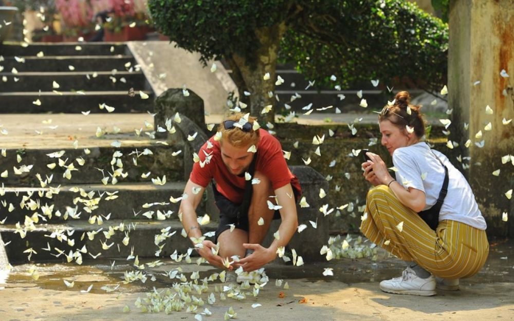 viaggio vietnam aprile ninh binh