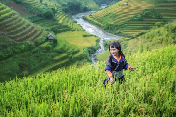 Viaggio combinato in Vietnam e Cambogia