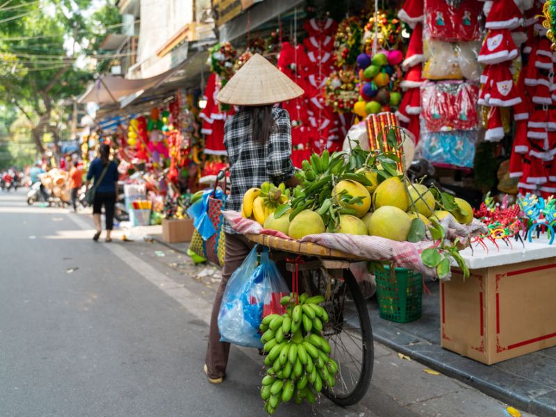 TOUR IN VIETNAM – 10 GIORNI – 10 GIORNI